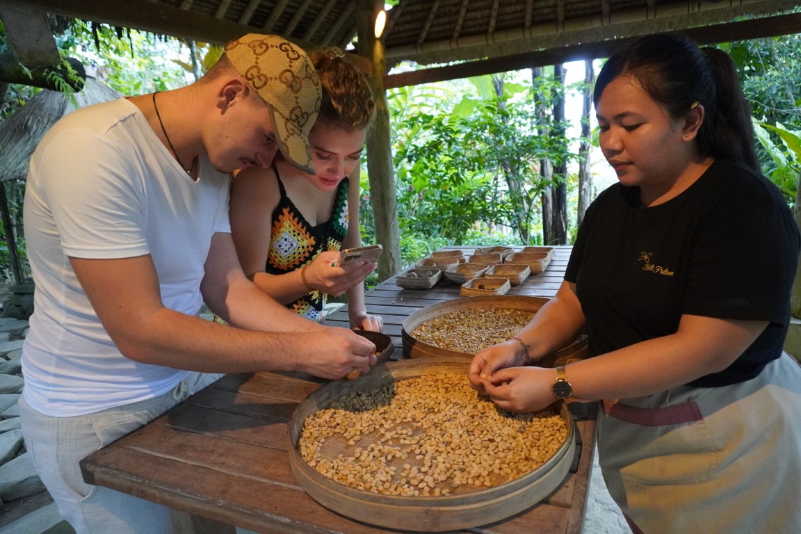 Agro Coffee Plantation