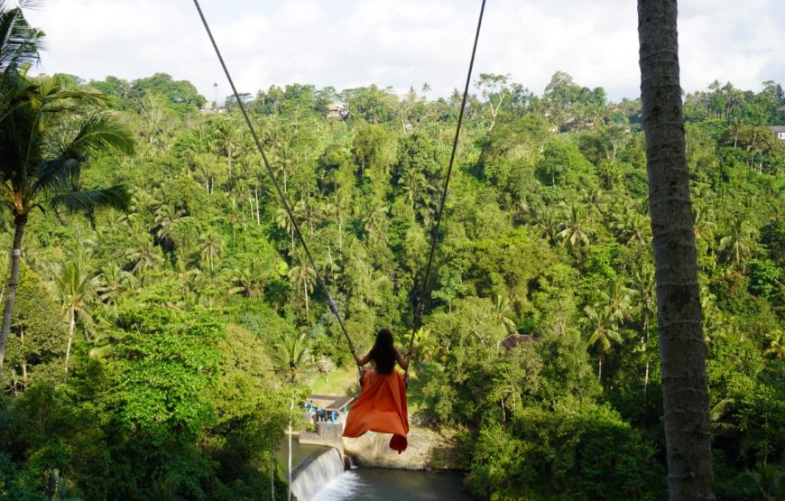 Best of Ubud Tour