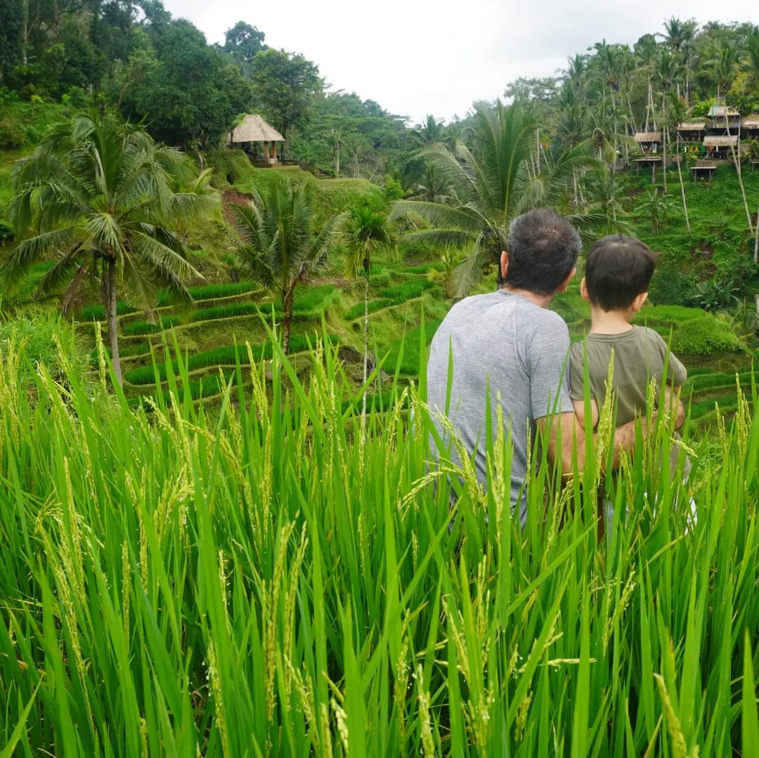 Tegalalang Rice Terrace