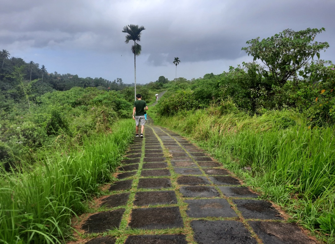 Cmpuhan Ridge Walk 