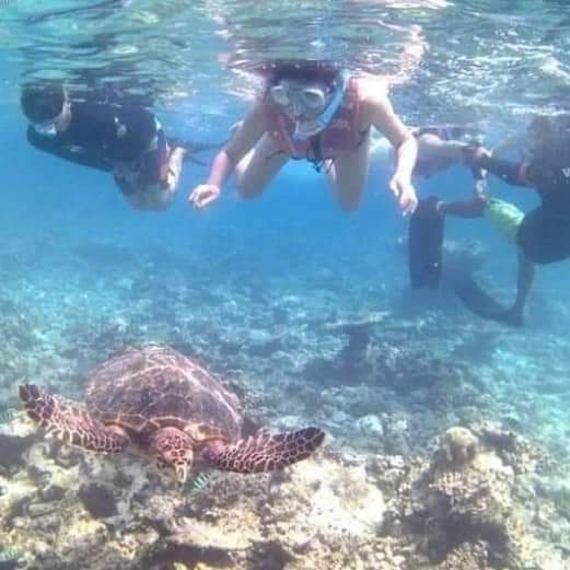 IMG-20250917-WA0036