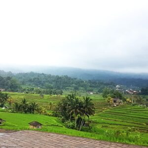 Bali Cultural & Nature Escape Tour